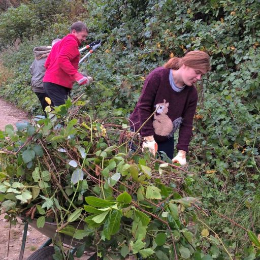 Conservation group working at Otterhead lakes