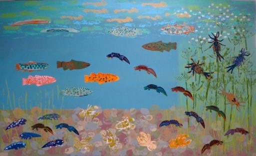 childrens postcard design of river habitat