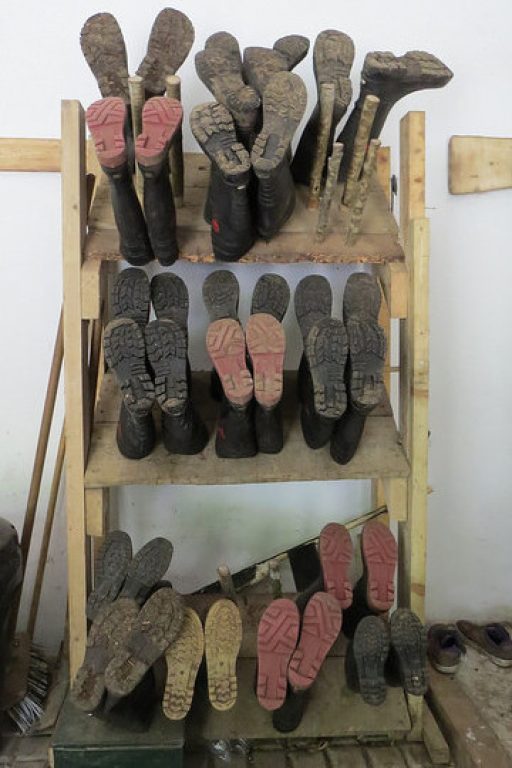 Wellington boots on a rack