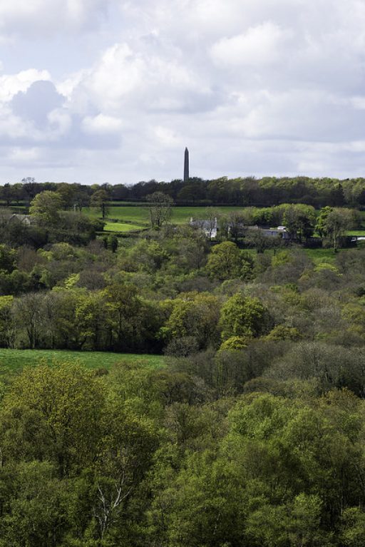 Wellington Monument in the distance on a bright day