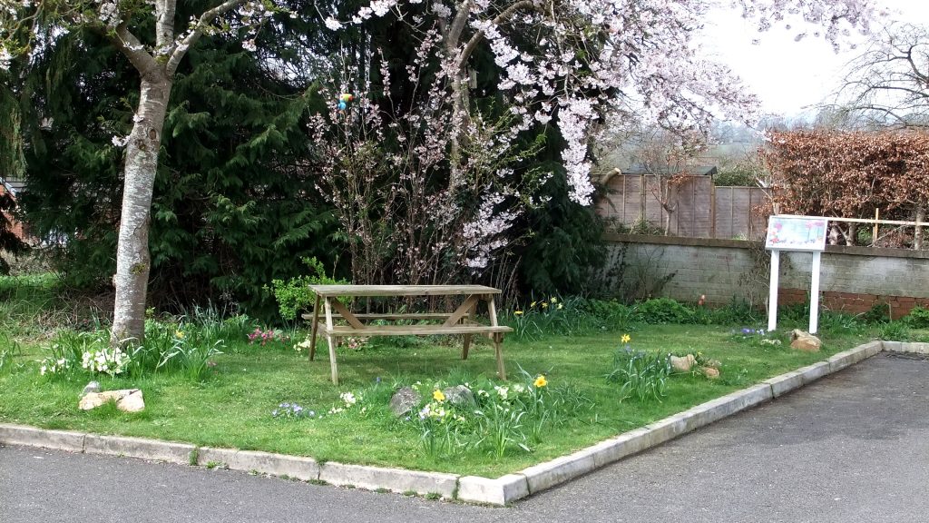 Wildlife garden at the Beehive in Honiton, including wildflowers, picnic bench and display board