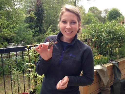 Sarah holding a signal crayfish - the invasive species.
