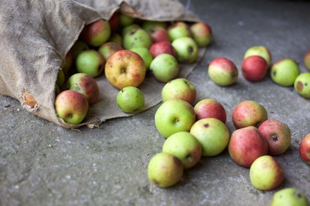 A bag of apples. Photo: Pixabay