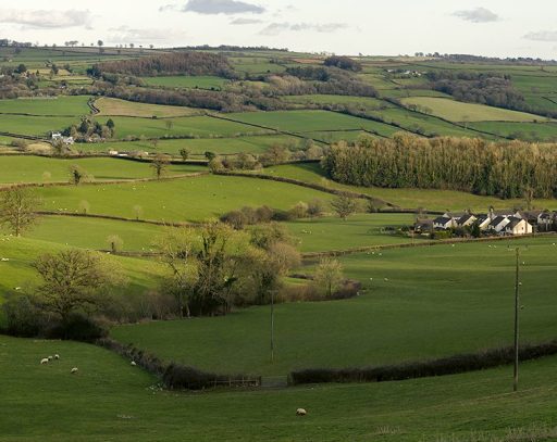 View of fields, hedgerows and buildings with the sun low in the sky