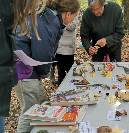 Fungi laid on a table with fungi books