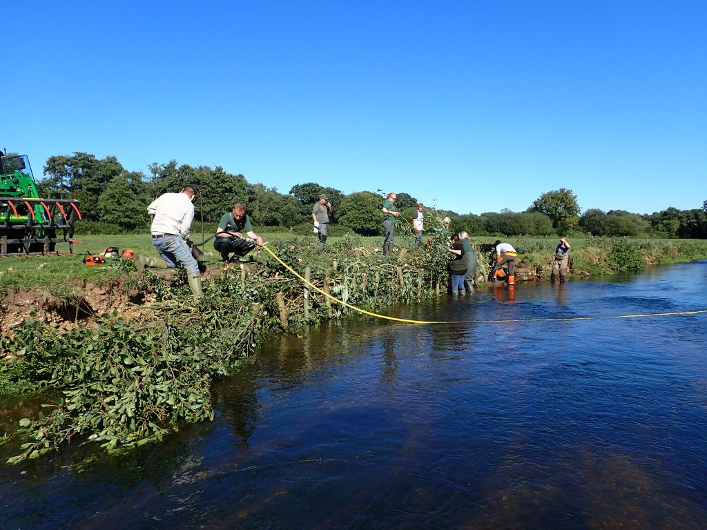 Volunteers repairing an eroded bank on the River Culm