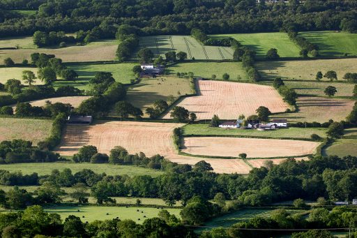 patchwork fields image with some farms and trees