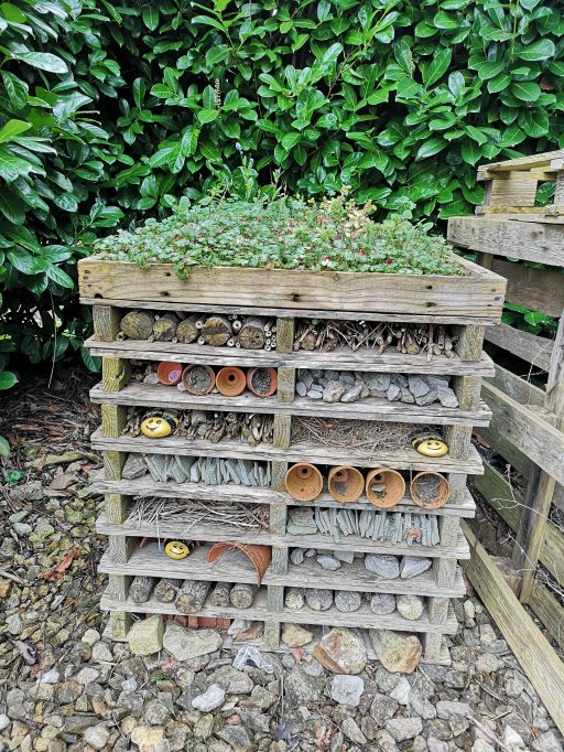 bug hotel