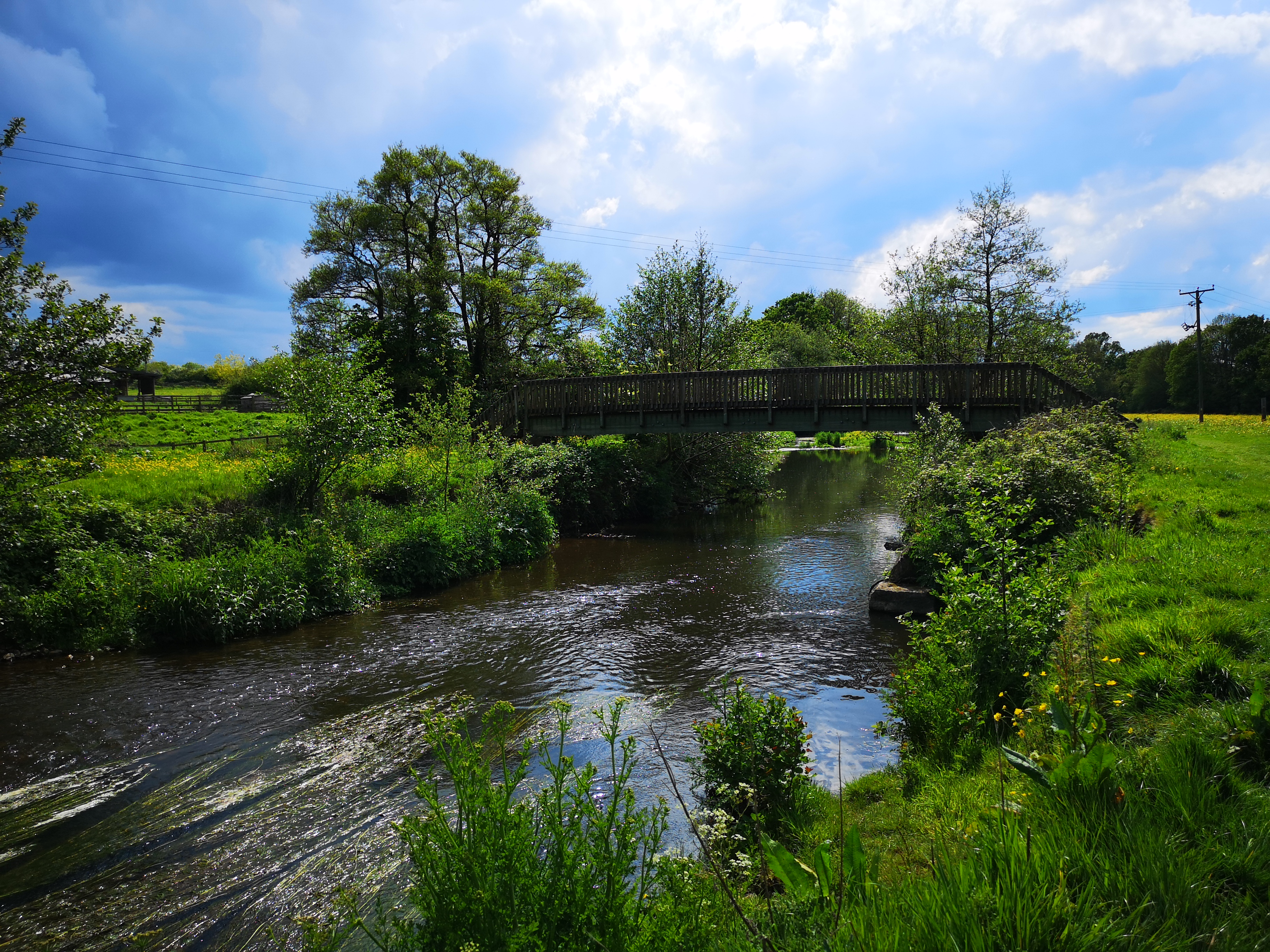 River Culm at Culmstock. Photo: Clare Groom