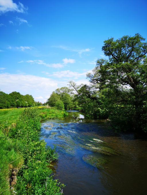 River Culm at Culmstock. Photo: Clare Groom
