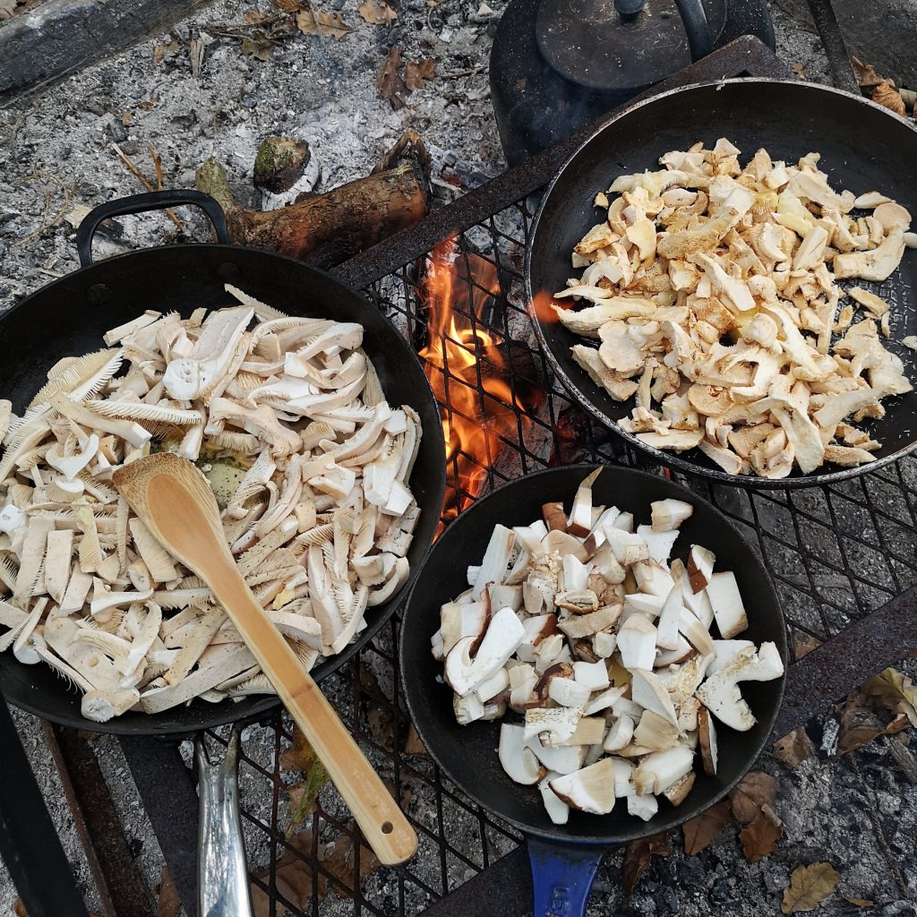Mushroom apetisers being cooked