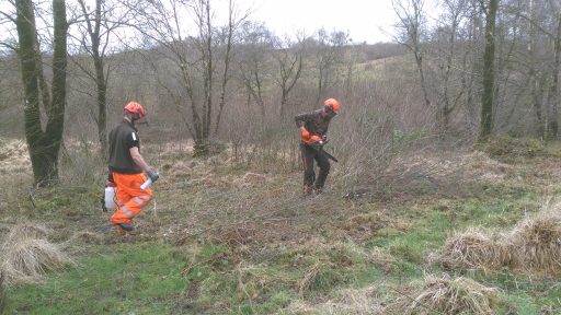 two men with chainsaws on the Yarty moor