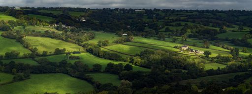 Field patterns, hedges and hedgerow trees at Dumpdon