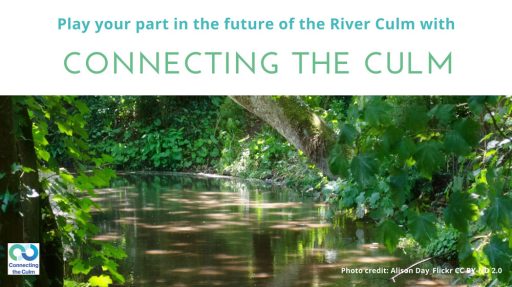 Connecting the Culm presentation front sheet