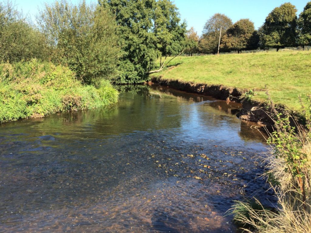 View of a the Culm River and river bank