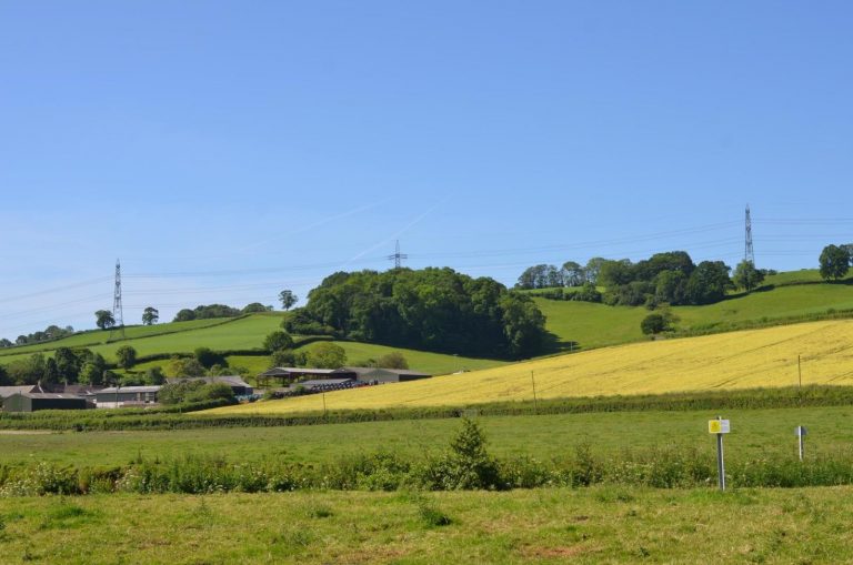 A scene showing fields, hedgerows and pylons across the skyline
