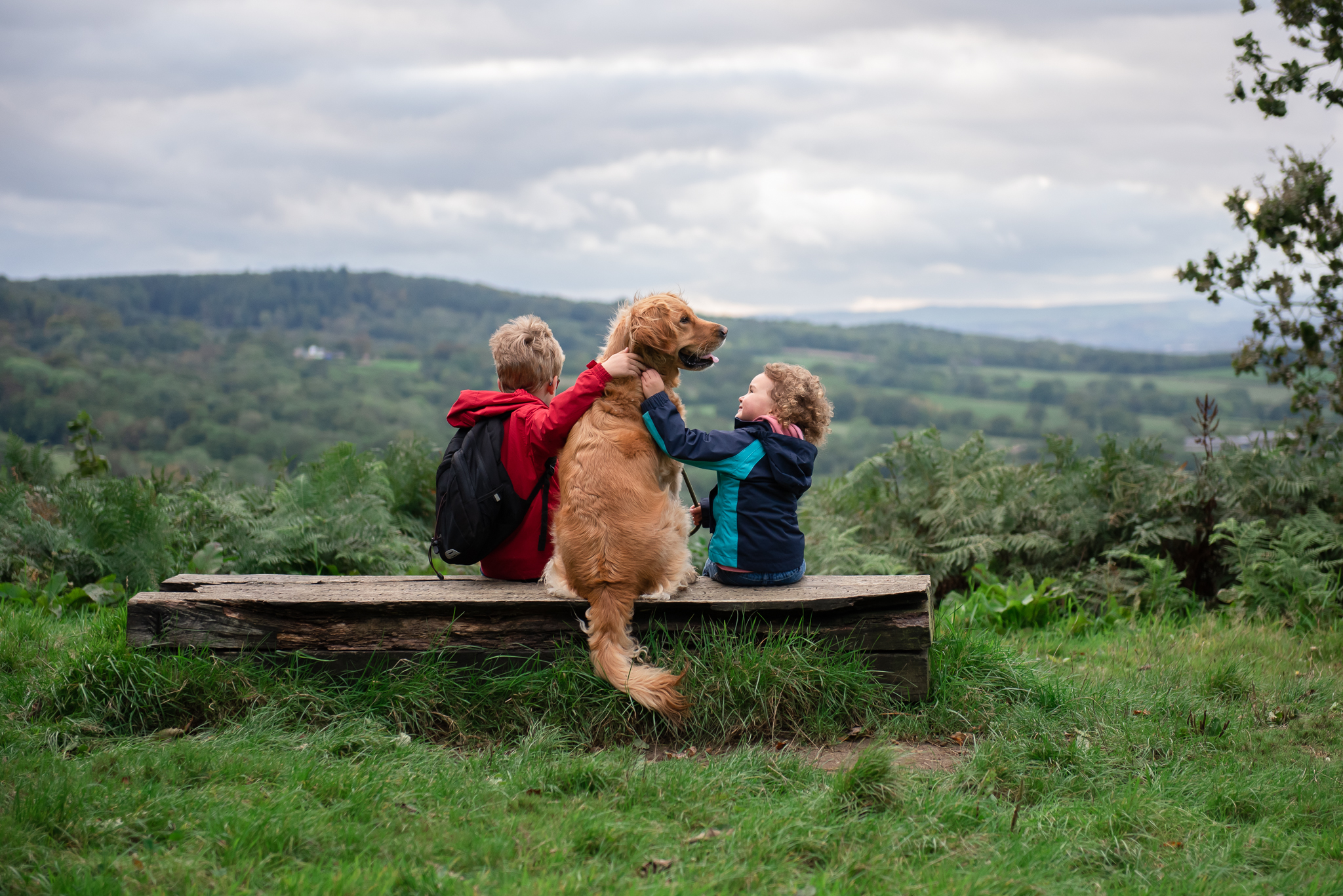 Two children and a dog sit on a bench enjoying the view at Castle Neroche