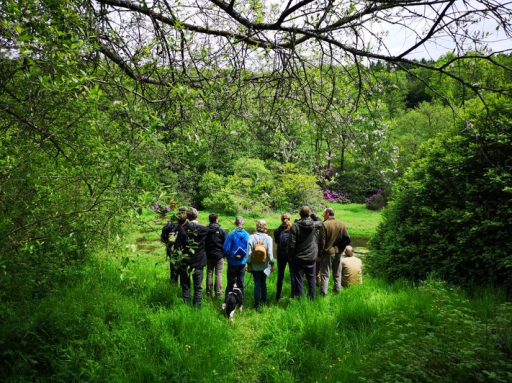 group of people stood amongst trees looking for beavers