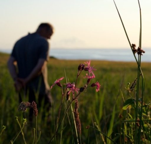 Man walking through countryside with pink flowers