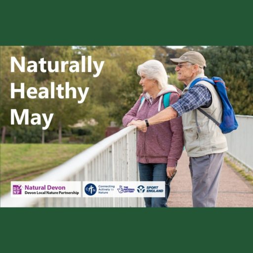Naturally Healthy May poster