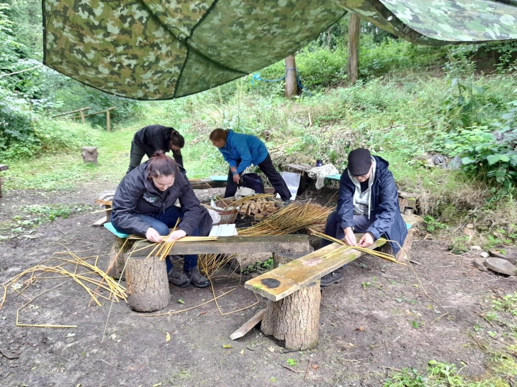adults working with willow