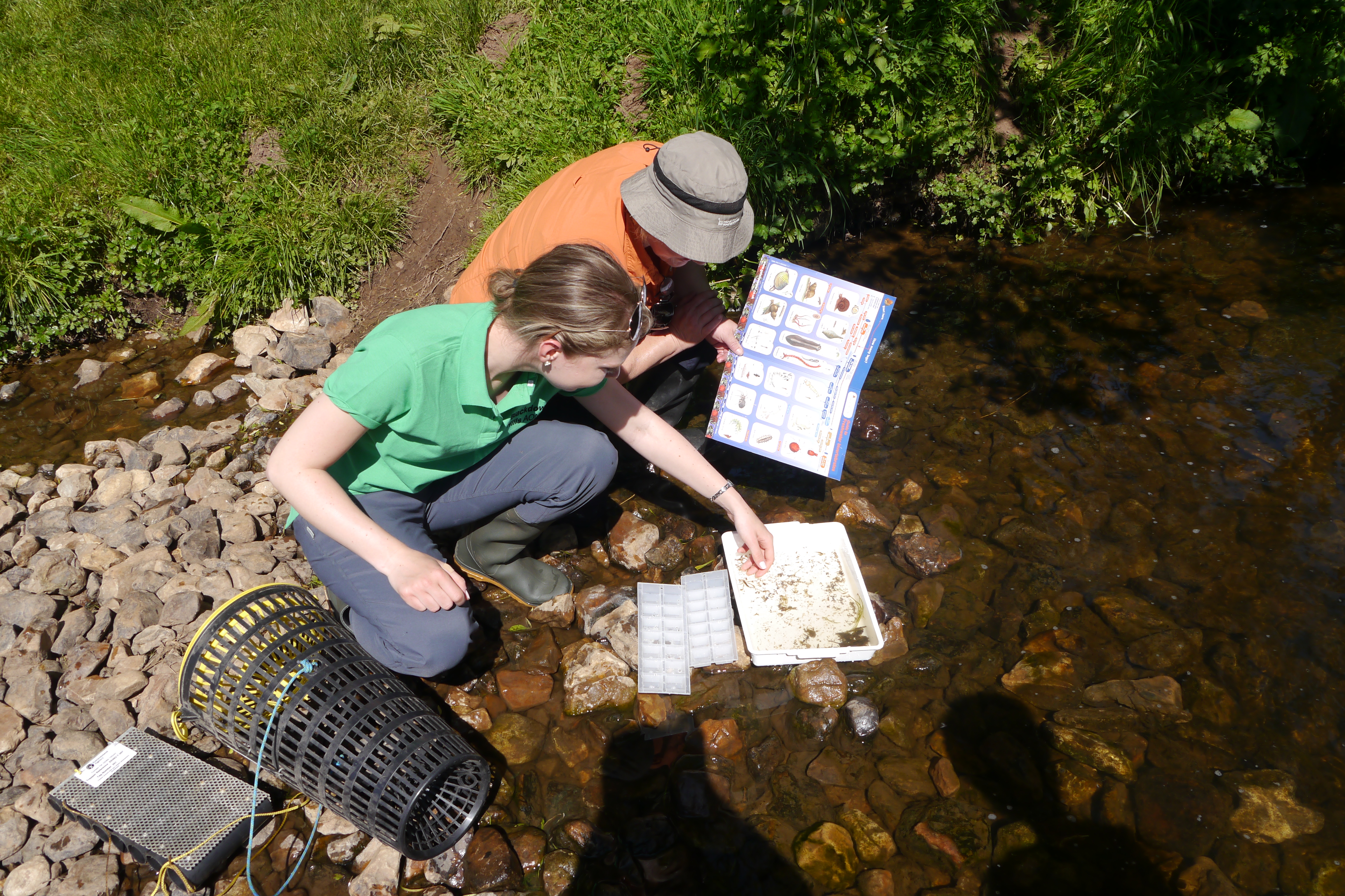 Two people at the river bank examining invertebrates in a tray