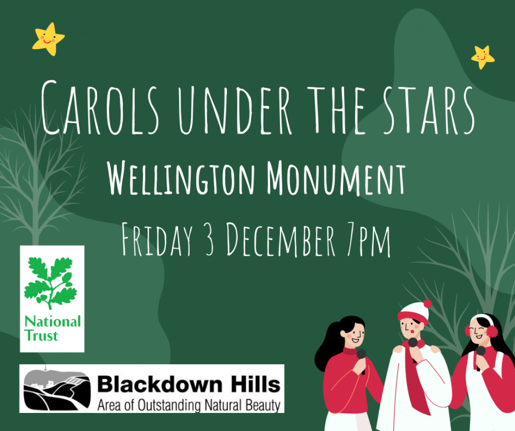 Carols under the Stars, Wellington Monument, Friday 3 December 7pm