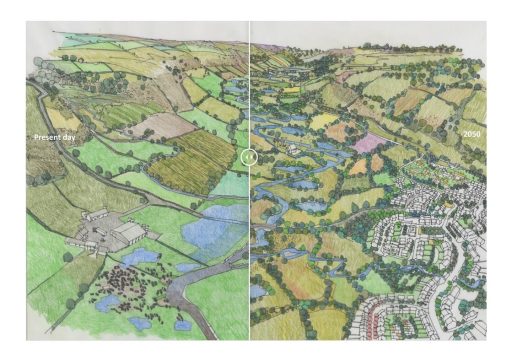 An illustration of the River Culm with half showing present day landscape and the other half showing what it could look like in 2050.