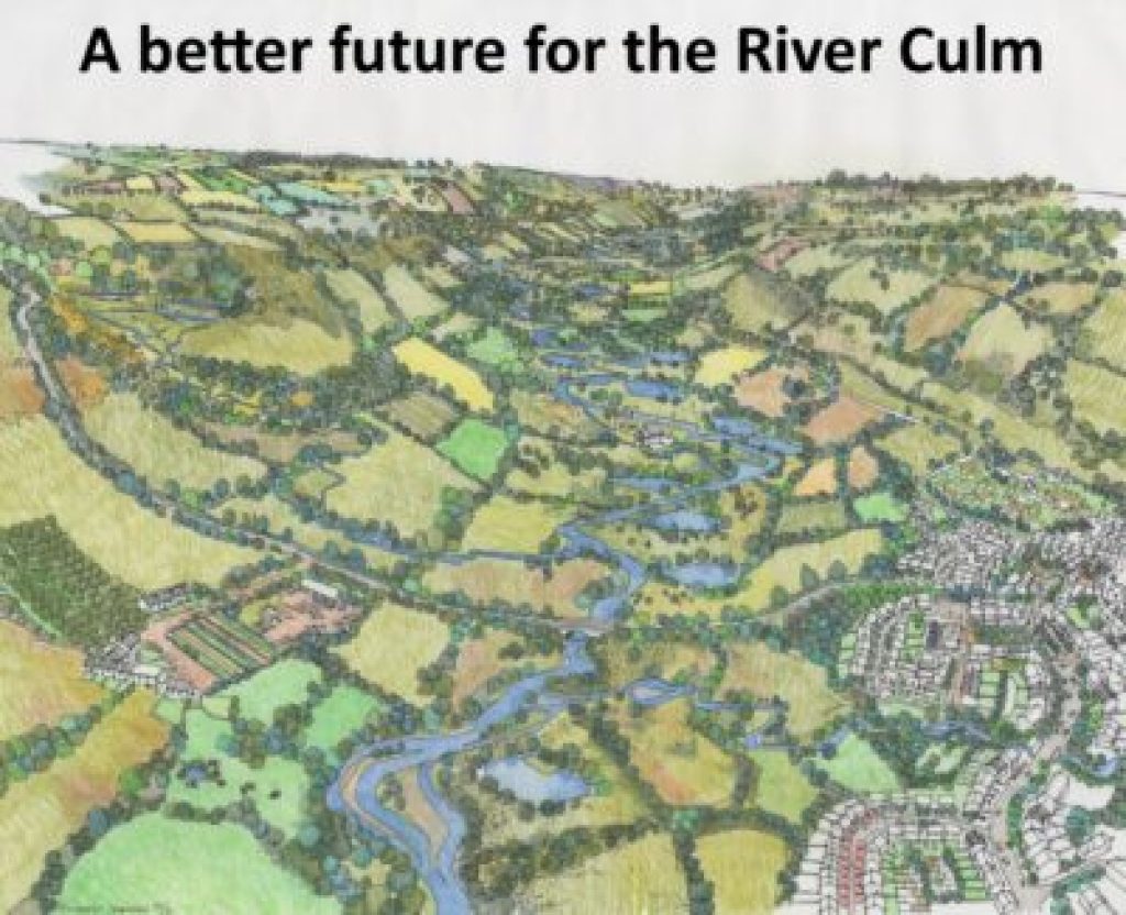 A better future for the River Culm