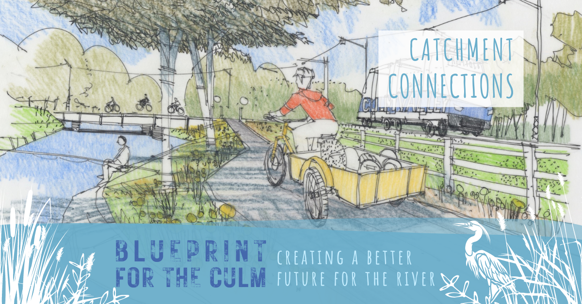 Illustration showing a vision for the River Culm