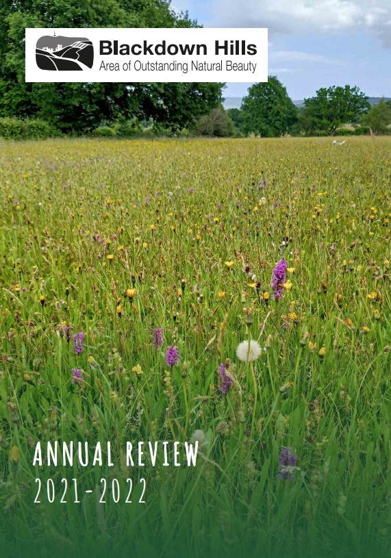 Wildflower meadow on front cover of Blackdown Hills annual review 2021-22