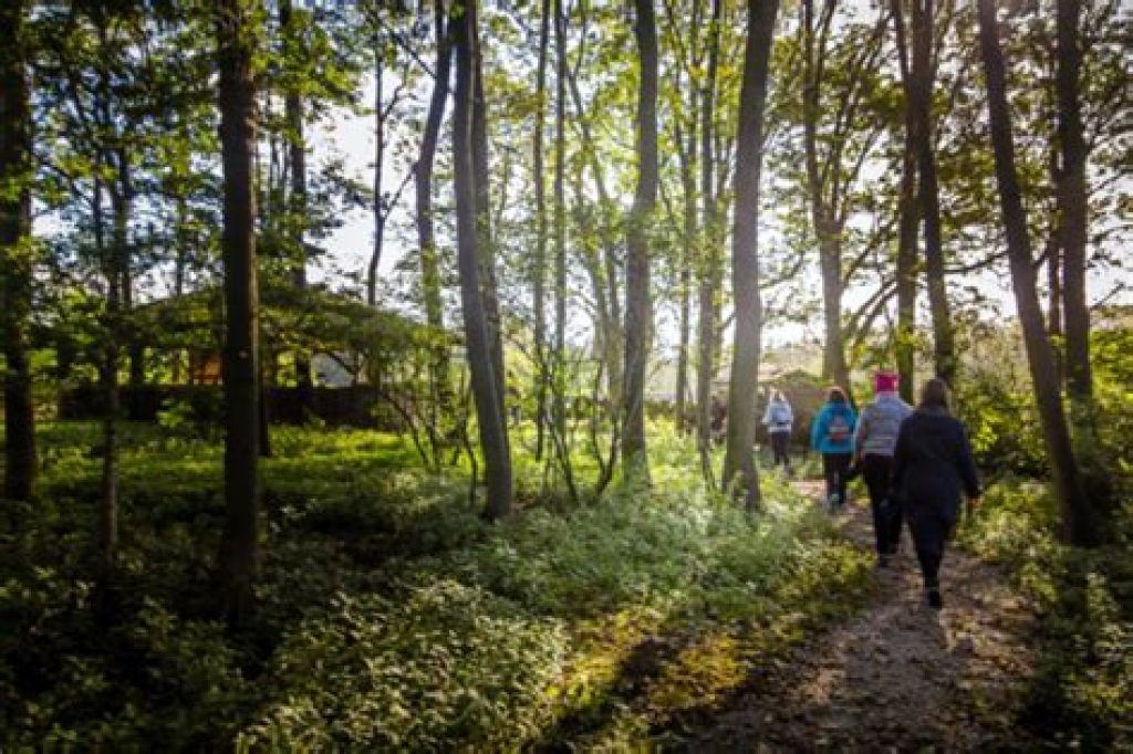 A group of people walking along a path through woodland