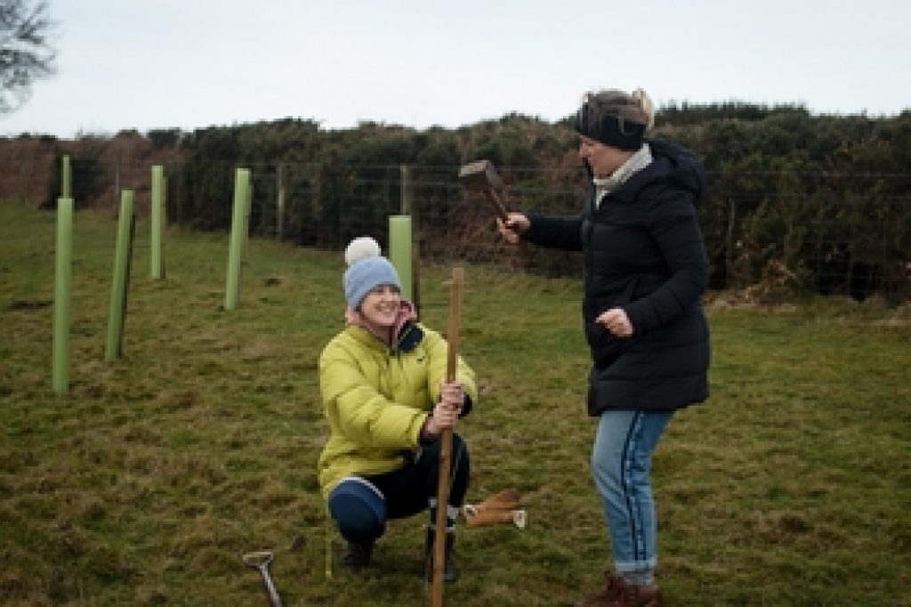 Two people dressed in warm winter clothing planting trees