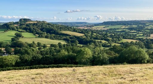 View across the hilly landscape with a patchwork of small fields and hedgerows
