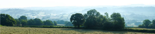 grassland with trees and hills on a misty day