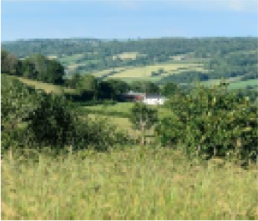 fields with a white house in the distance