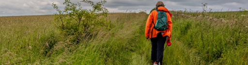 lady dog walking across a grass field wearing an orange