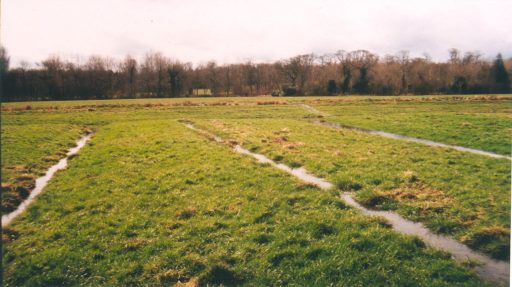A field with parallel ditches across it.