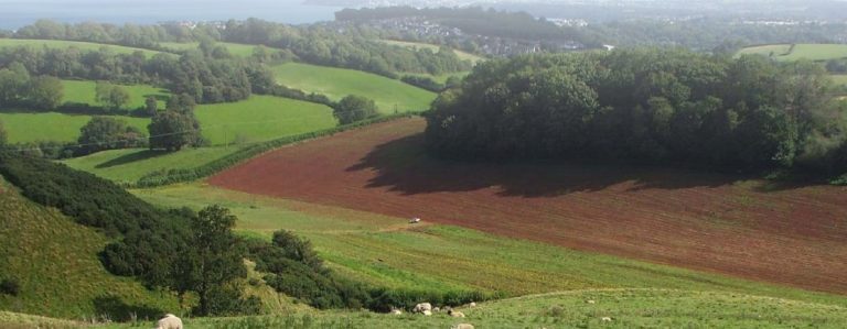 View across the landscape with fields, trees and the sea in the background.