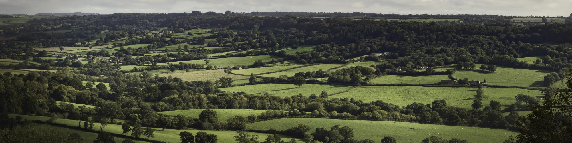View from Dumpdon Hill